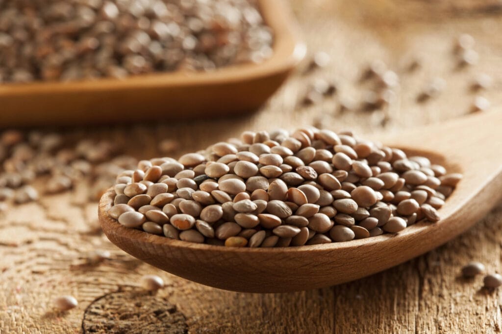 Dried lentils on wooden spoon on brown background.